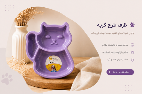 ظرف غذا گربه
