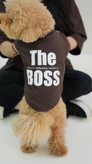 تیشرت پاییزه سگ و گربه مدل the boss