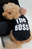 تیشرت پاییزه سگ و گربه مدل the boss